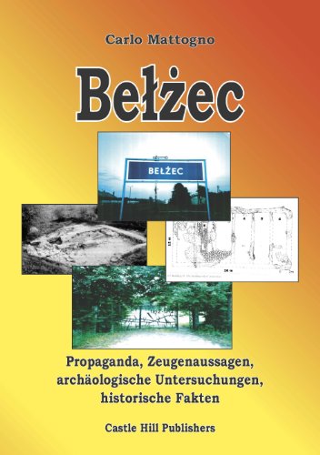 Lectures On The Holocaust: Controversial Issues Cross Examined (Holocaust Handbook Series)