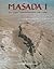 Masada I: The Yigael Yadin Excavations 1963-65 Final Reports (Masada Reports)