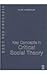 Key Concepts in Critical Social Theory (SAGE Key Concepts series)
