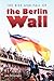 Steck-Vaughn Lynx: Social Studies Readers Grade 5 Rise and Fall/Berlin Wall (Lynx Social Studies Collection)