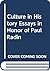 Culture in History Essays in Honor of Paul Radin by Stanley Diamond