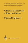 Minimal Surfaces I: Boundary Value Problems (Grundlehren Der Mathematischen Wissenschaften (Springer Hardcover))