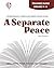 Separate Peace - Teacher Guide by Novel Units