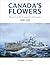 Canada Flowers: History of the Corvettes of Canada, 1939-1945