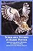 Scholarly Studies in Harry Potter: Applying Academic Methods to a Popular Text (Studies in British Literature, 99)