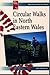 Circular Walks in North West Wales by Jim Grindle