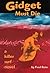 Gidget Must Die: A Killer Surf Novel