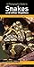 Photographic Guide To Snakes And Other Reptiles Of Australia (Photoguides)