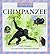 Chimpanzee (Zoo Animals in the Wild)