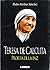 Teresa de Calcuta - Profeta de La Paz (Spanish Edition)