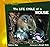 The Life Cycle of a Mouse (Life Cycles Library)
