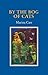 By the Bog of Cats (Gallery Books)