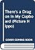 There's A Dragon In My Cupboard by John F. Green