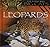 Leopards (Eye to Eye With Big Cats)