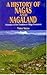 A History of Nagas and Nagaland : Dynamics of Oral Tradition in village formation