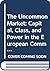 The Uncommon Market: Capital, Class, and Power in the European Community