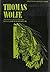 Thomas Wolfe: A Collection of Critical Essays (20th Century Views)