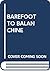 Barefoot to Balanchine