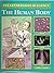 Human Body (Breakthroughs in Science)
