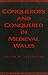 Conquerors and Conquered in Medieval Wales by Ralph A. Griffiths