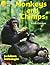 Oxford Reading Tree: Stages 8-11: Jackdaws: Pack 1: Monkeys and Chimps