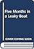 Five Months in a Leaky Boat