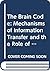 The Brain Code: Mechanisms of Information Transfer and the Role of the Corpus Callosum
