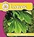 Leaves (See How Plants Grow)