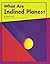 What Are Inclined Planes? (Pebble Books)