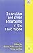 Innovation and Small Enterprises in the Third World (New Horizons in the Economics of Innovation series)