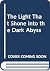 The Light That Shone into t...