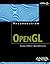 OpenGL (Programacion / Programming) (Spanish Edition)