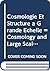 Cosmologie Et Structure a Grande Echelle = Cosmology and Large Scale Structure: Cosmology and Large Scale Structure : Les Houches, Session Lx, 1-28 ... (English and French Edition)