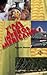 Viaje a los ínferos americanos: Por tierras de México, Venezuela y Cuba (Ventana Abierta) (Spanish Edition)