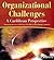 Organizational Challenges: ...