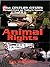 Animal Rights