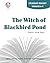 The Witch Of Blackbird Pond - Student Packet by Novel Units