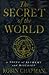 The Secret of the World by Robin Chapman