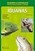 Iguanas (Salvemos La Naturaleza / Let's Save Nature) (Spanish Edition)