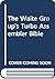The Waite Group's Turbo Assembler Bible