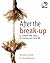 After the Break-up (52 Brilliant Little Ideas)