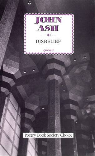 Disbelief (Paperback)