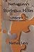 Stories with Holes, Vol. 5 by Nathan Levy