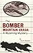 The Bomber Mountain Crash Story: A Wyoming Mystery