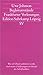 Begleitumstände: Frankfurter Vorlesungen