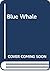 Blue Whale by Sally Carrighar