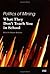 Politics of Mining by Deepak Malhotra