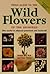 Field Guide to the Wild Flowers of the Highveld by Braam van Wyk