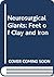 Neurosurgical Giants: Feet of Clay and Iron