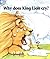 Why Does King Lion Cry? by Dianne Case